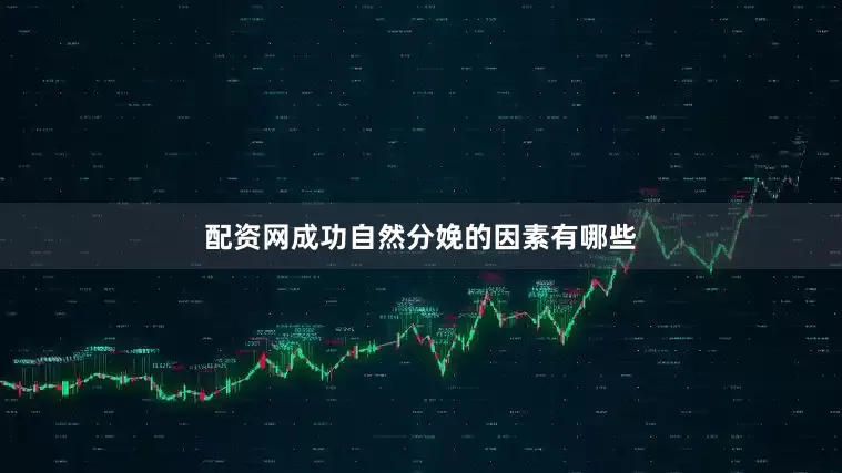 配资网成功自然分娩的因素有哪些