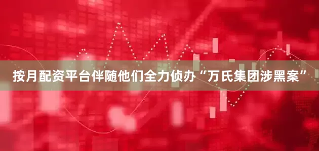 按月配资平台伴随他们全力侦办“万氏集团涉黑案”