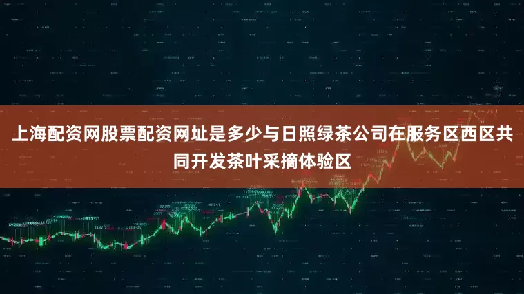 上海配资网股票配资网址是多少与日照绿茶公司在服务区西区共同开发茶叶采摘体验区