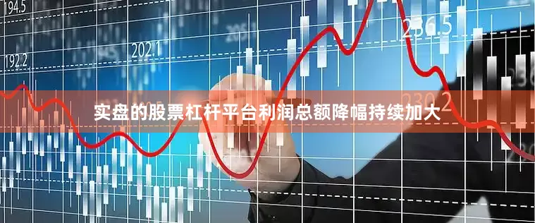 实盘的股票杠杆平台利润总额降幅持续加大