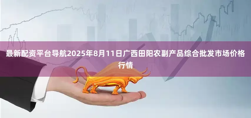 最新配资平台导航2025年8月11日广西田阳农副产品综合批发市场价格行情