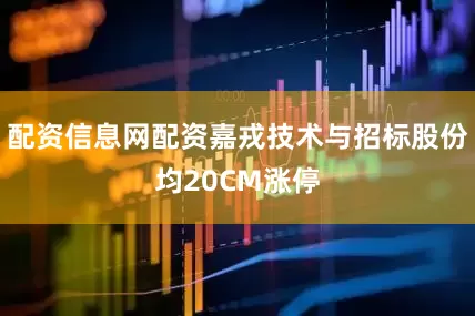 配资信息网配资嘉戎技术与招标股份均20CM涨停